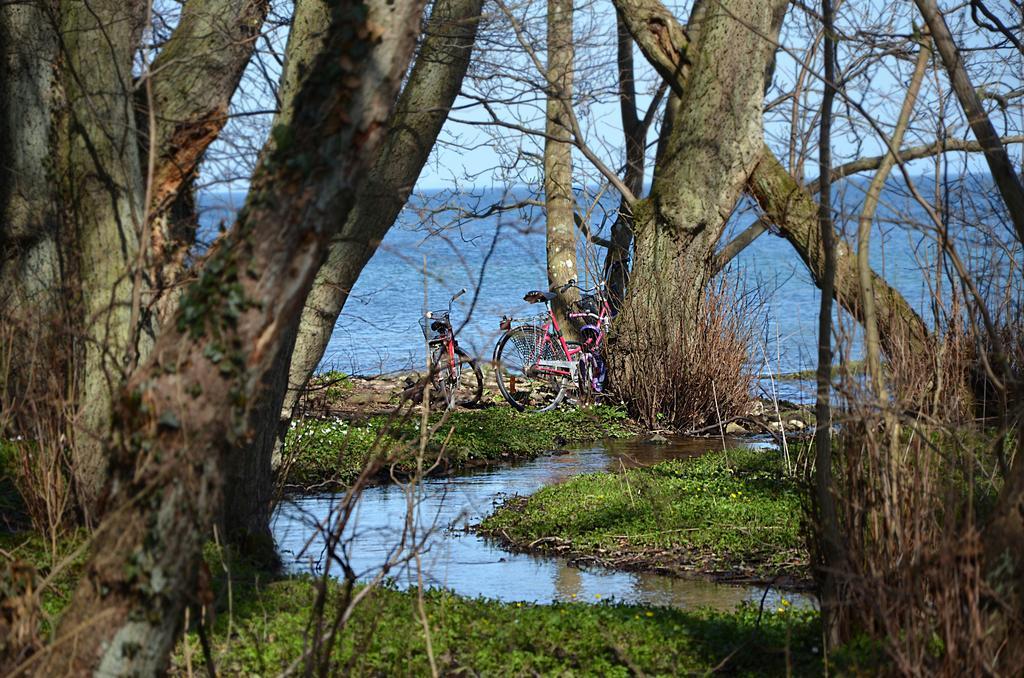 Torsborgs Gard Panzió Simrishamn Kültér fotó